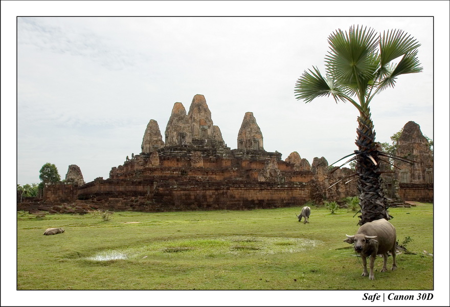 Pre Rup